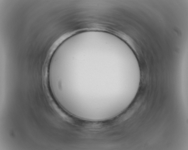 X0000113891387200910151325