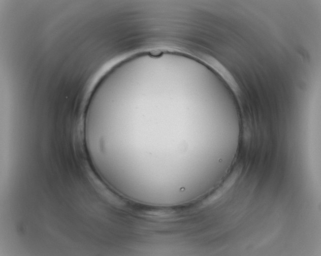 X0000113891388200910151325