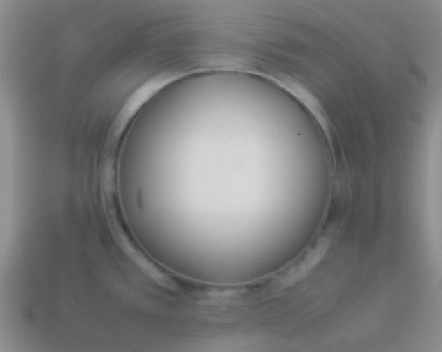 X0000113891389200910151325