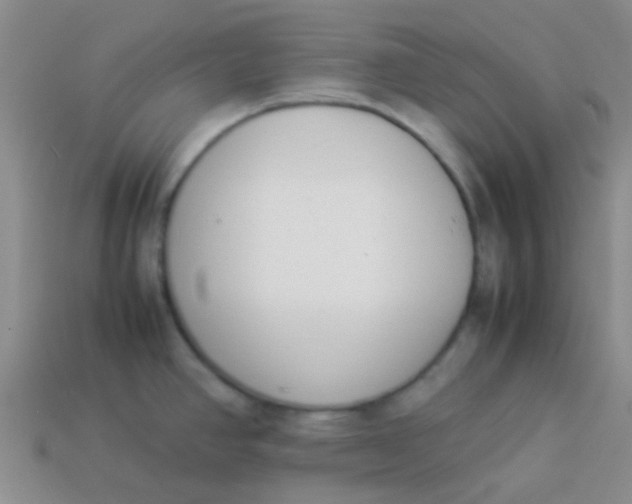 X0000113891390200910151325