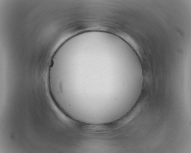 X0000113891391200910151325