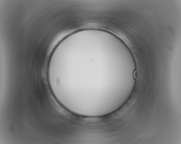 X0000113891392200910151325