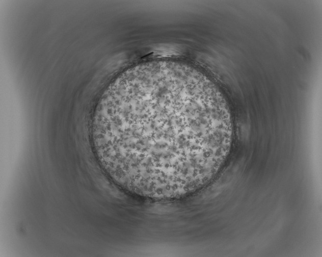 X0000113891393200910151324