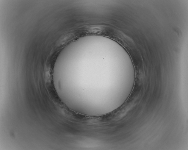 X0000113891394200910151324