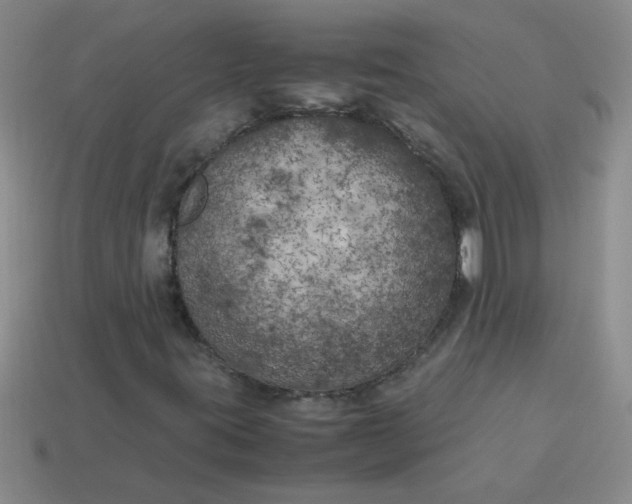 X0000113891395200910151324