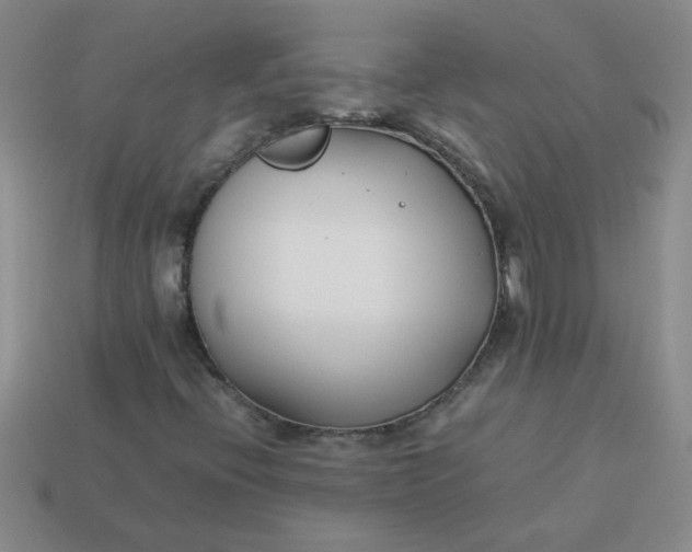 X0000113891396200910151324