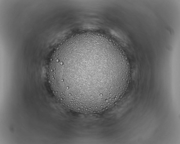 X0000113891397200910151324