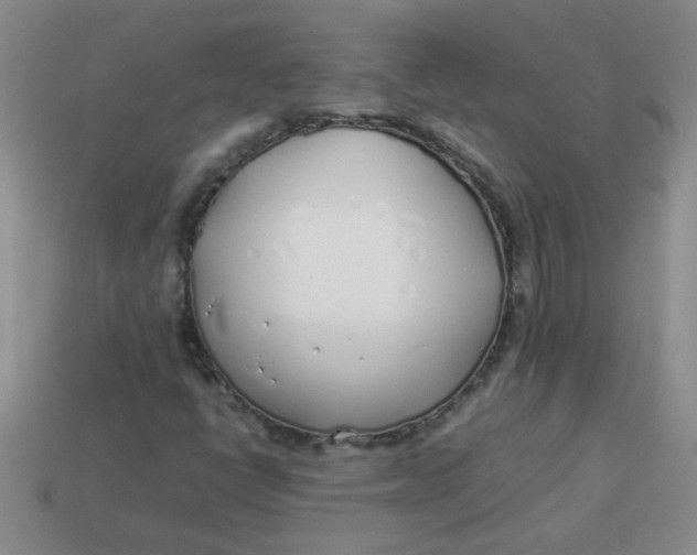 X0000113891398200910151324