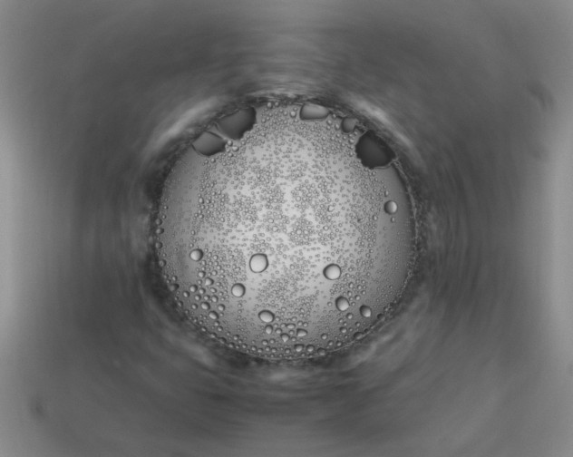 X0000113891399200910151324