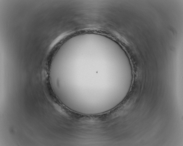 X0000113891400200910151324