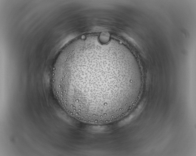 X0000113891401200910151324