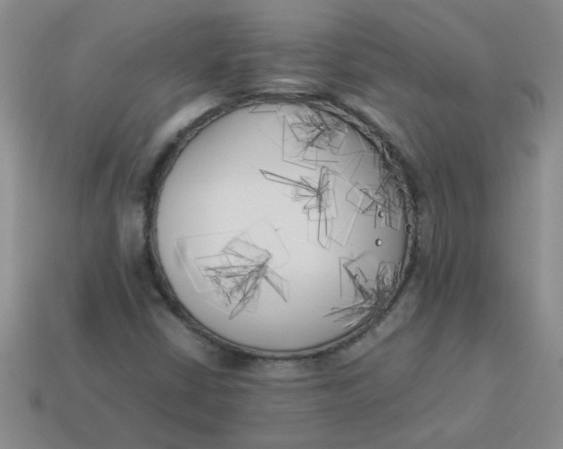 X0000113891402200910151324