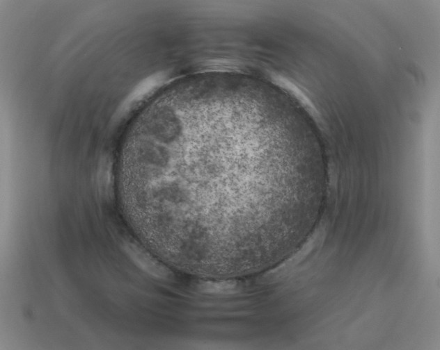 X0000113891403200910151324