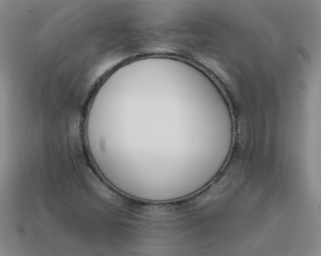 X0000113891404200910151324