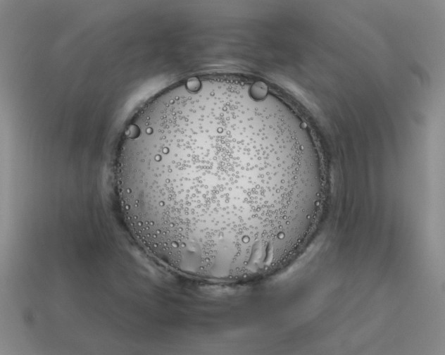 X0000113891405200910151324