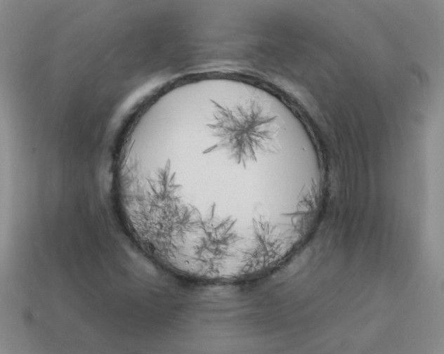 X0000113891406200910151324