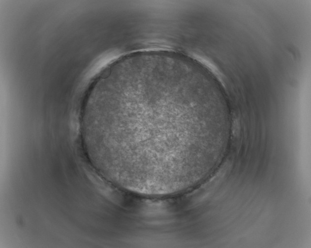 X0000113891407200910151324