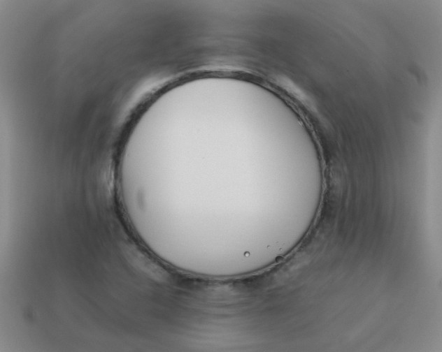 X0000113891408200910151324