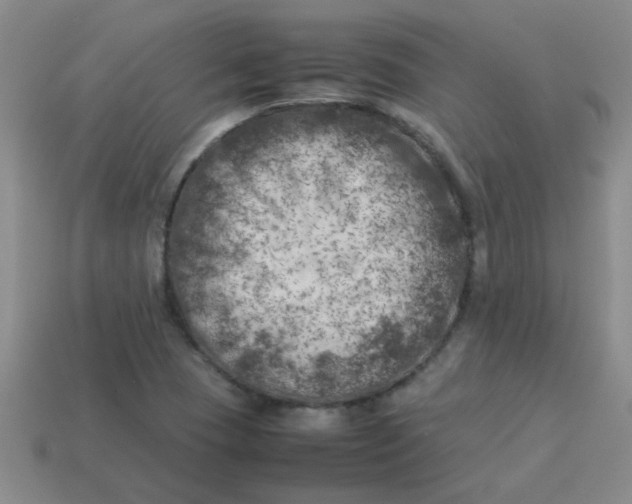 X0000113891409200910151324