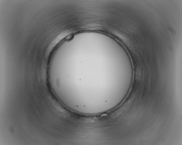 X0000113891410200910151324