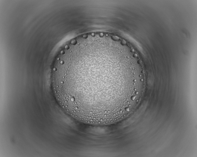 X0000113891411200910151324