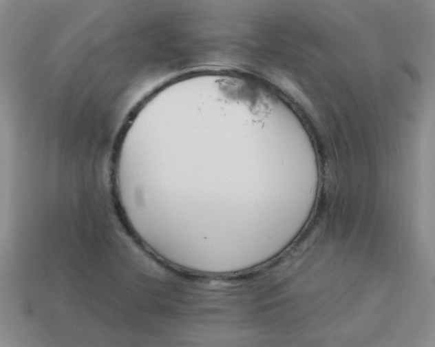 X0000113891412200910151325