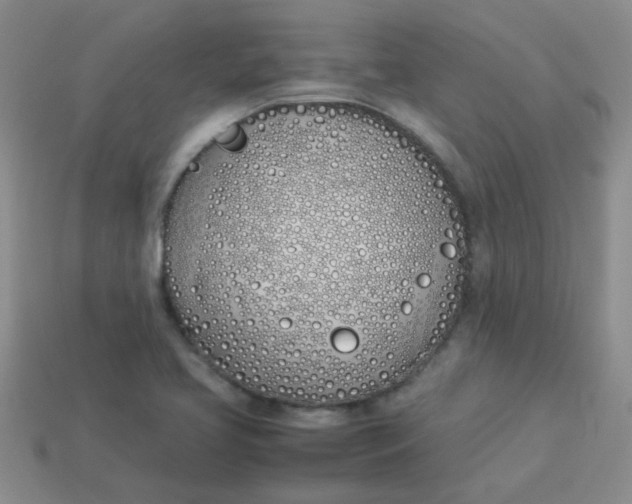 X0000113891413200910151325