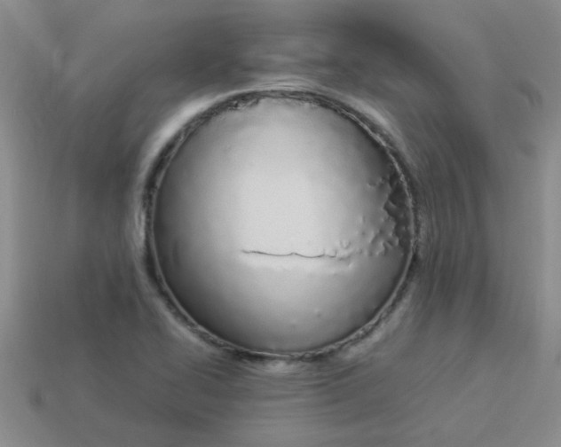 X0000113891414200910151325