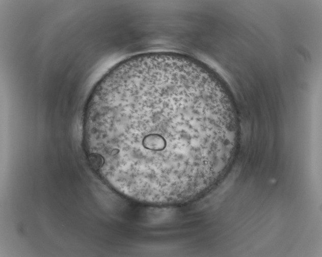 X0000113891415200910151325