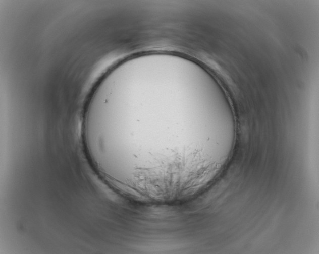 X0000113891416200910151325