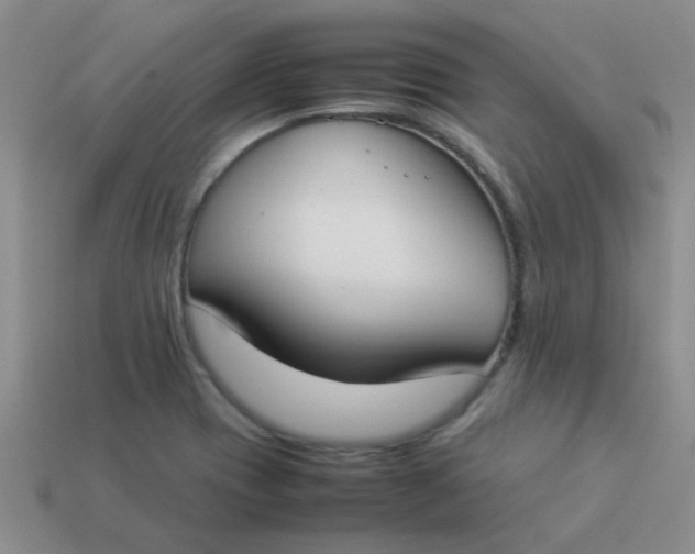 X0000113891417200910151325