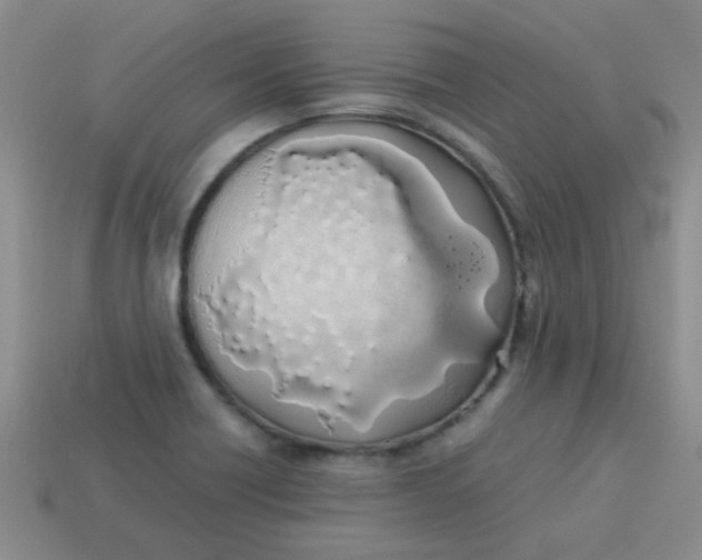 X0000113891418200910151325