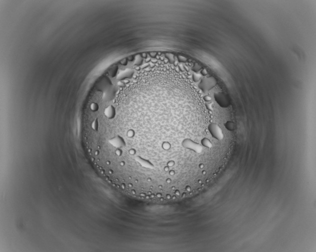 X0000113891419200910151325