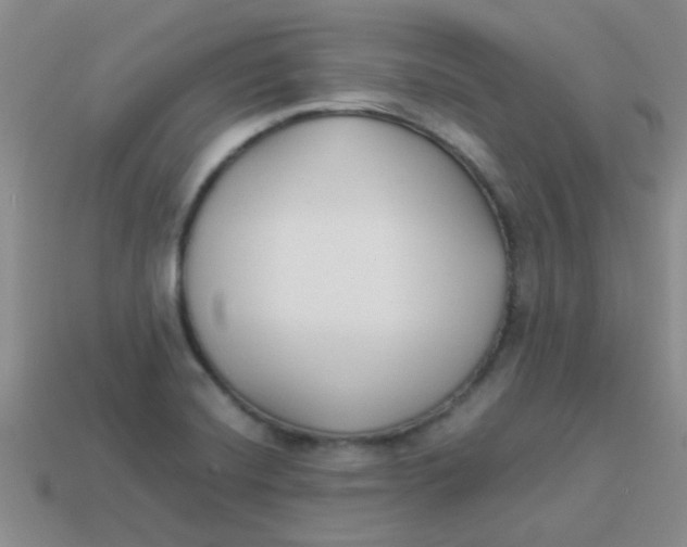 X0000113891420200910151325