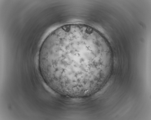 X0000113891421200910151325