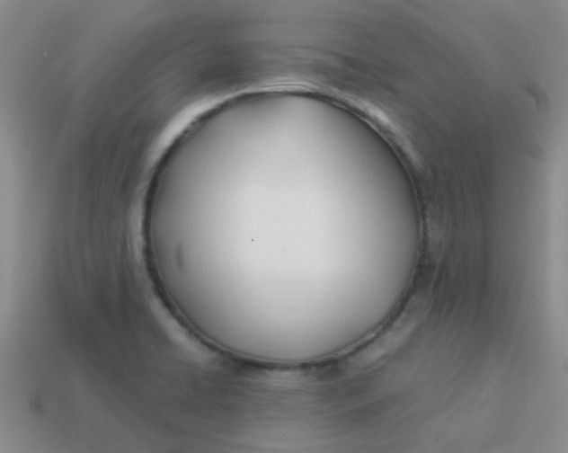 X0000113891422200910151325