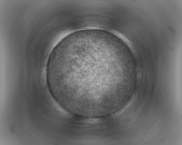 X0000113891423200910151325