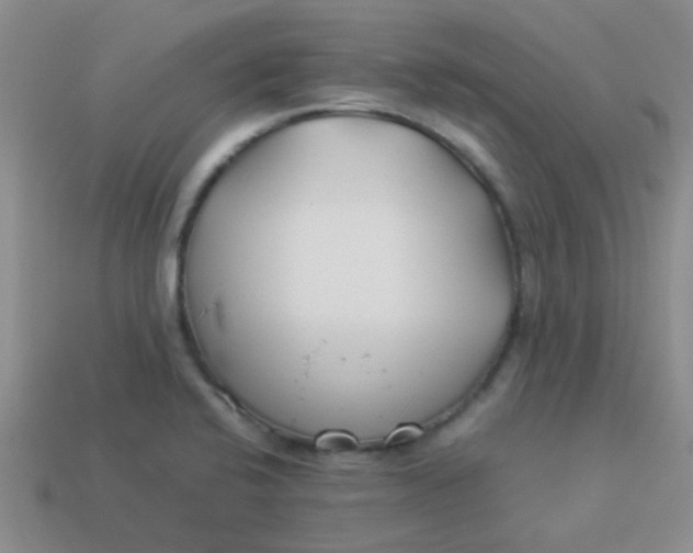 X0000113891424200910151325