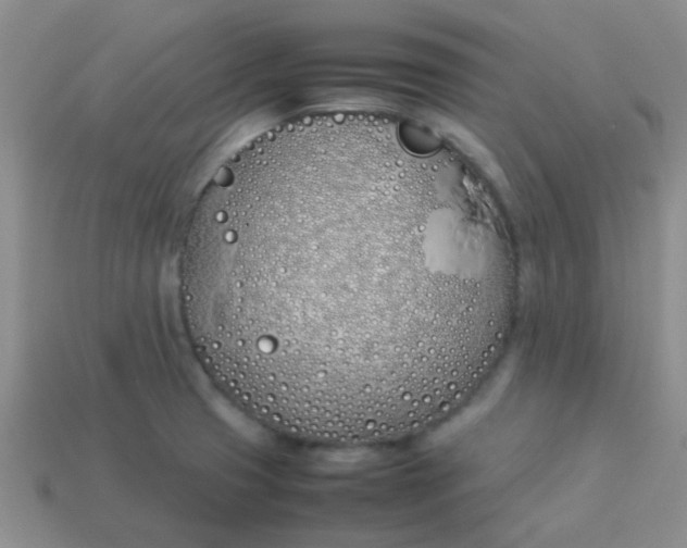 X0000113891425200910151325