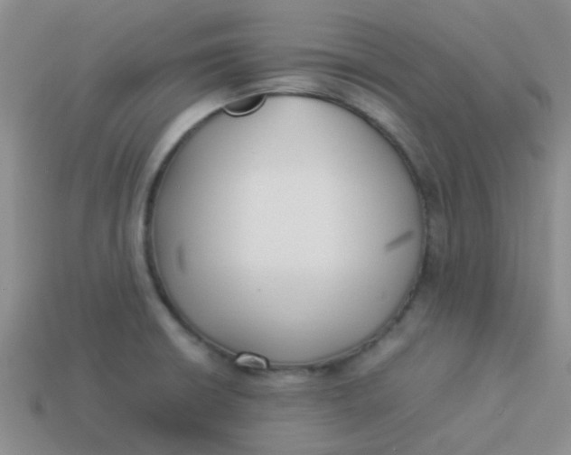 X0000113891426200910151325