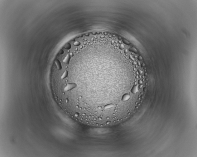 X0000113891427200910151325