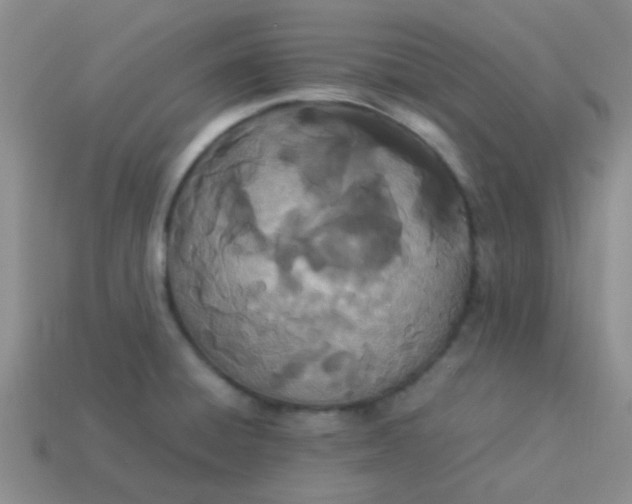 X0000113891428200910151325