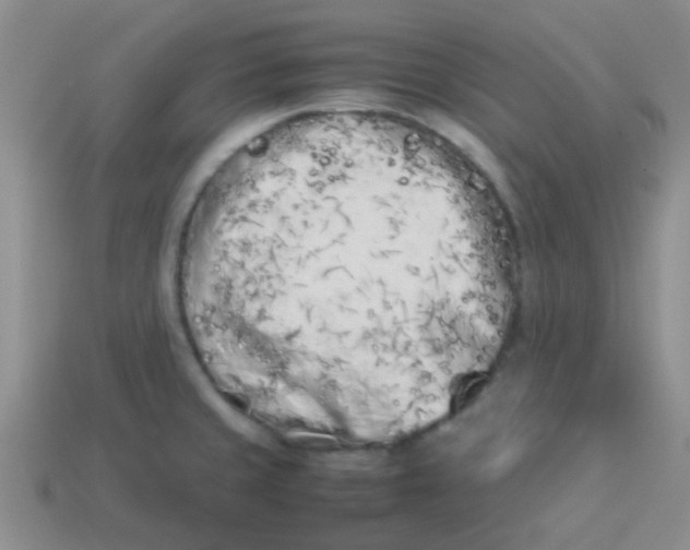 X0000113891429200910151325