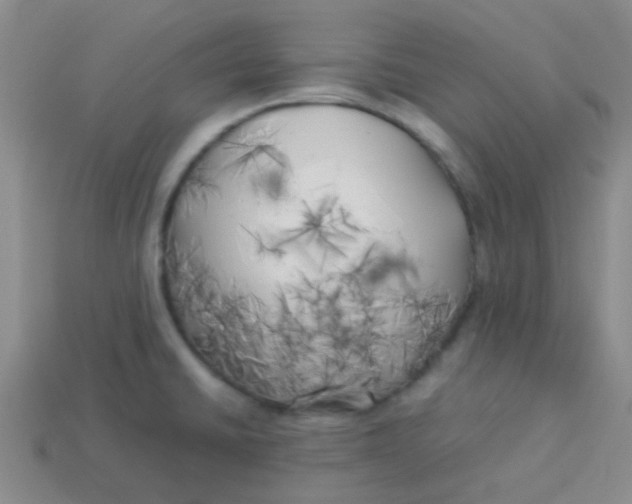 X0000113891430200910151325