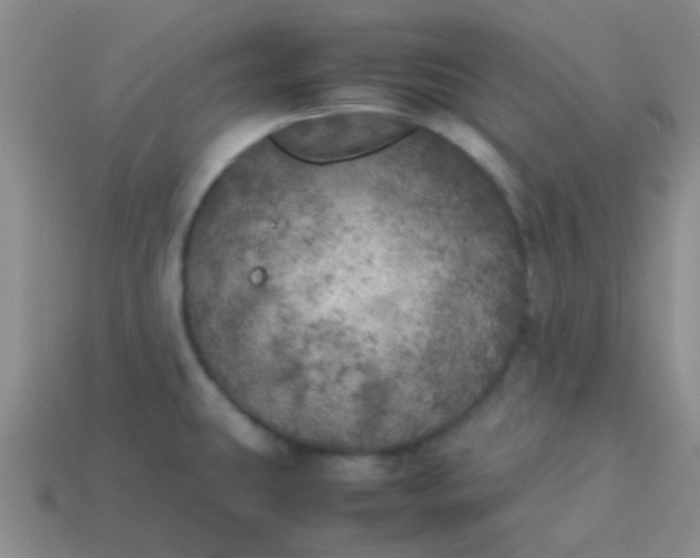 X0000113891431200910151325