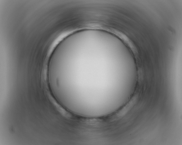 X0000113891432200910151325