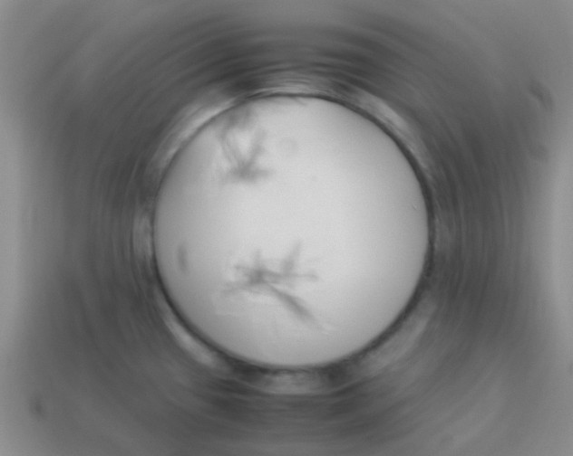 X0000113891433200910151325