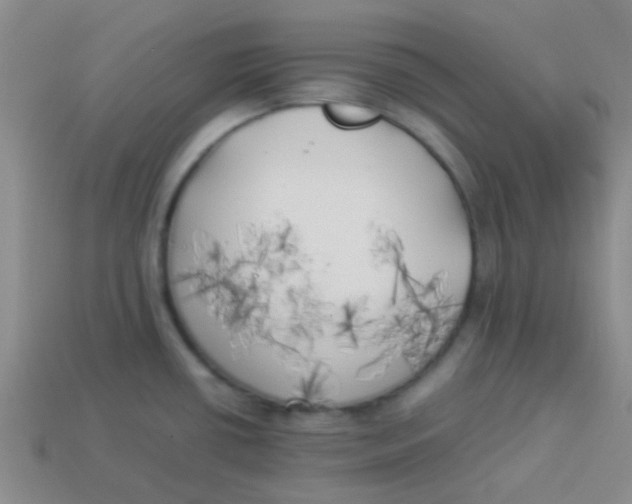 X0000113891434200910151325