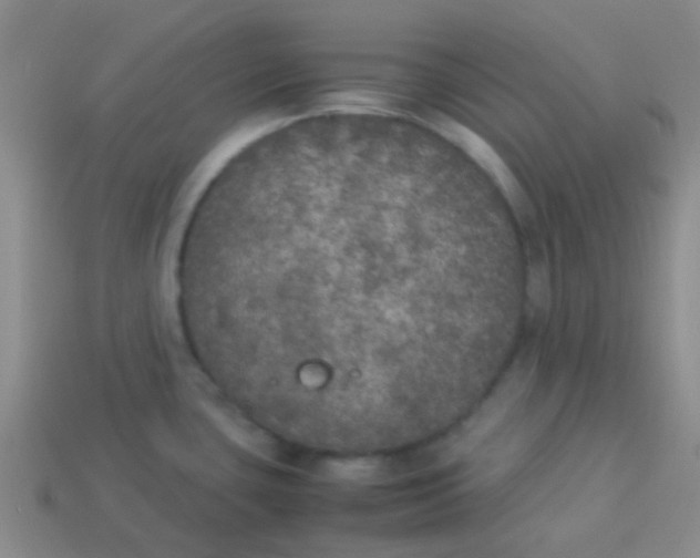 X0000113891435200910151325