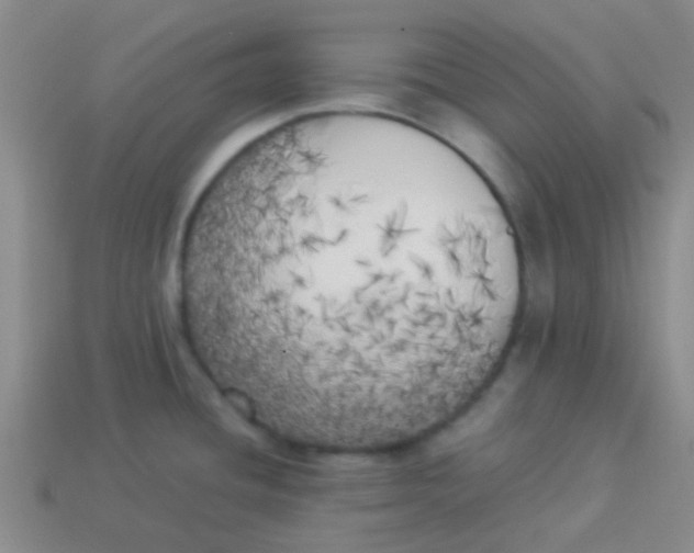 X0000113891436200910151325